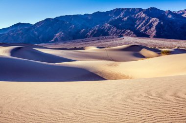 Sihirli çöl sabahı. Mesquite Düz Kum Tepeleri - Ölüm Vadisi 'ndeki kum tepeleri. ABD, Kaliforniya. Kolayca ulaşılabilen kum tepeleri 190. Yol boyunca yer almaktadır. Ekstrem, aktif ve fotoğraf turizmi kavramı