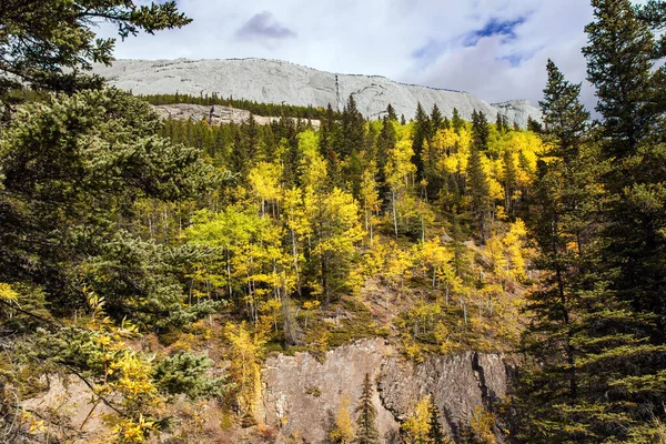 北秋的神奇色彩 雨云笼罩天空 通向Miette温泉的路 加拿大落基山脉的温泉 汽车和摄影旅游的概念 — 图库照片