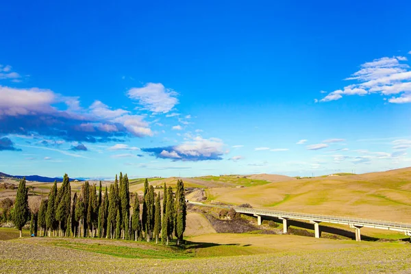 Autopista Asfalto Automotriz Autopista Magnífico Callejón Cipreses Belleza Provincia Toscana —  Fotos de Stock