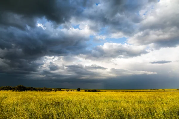Çimenli bir bozkır üzerinde fırtına bulutları. Afrika Boynuzu 'nun uçsuz bucaksız genişliği. Kenya 'daki ünlü Masai Mara Rezervi. Ekolojik, egzotik, aşırı ve fotoğraf turizmi kavramı