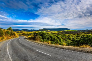  Knight 's Point Gözcüsü' ne giden yol. Sarı sonbahar bitkilerinin arasında asfalt yol. Resimli, aşırı gelişmiş kıyılar. Yeni Zelanda, Güney Adası