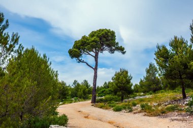 Toprak yürüyüş yolu. Akdeniz ve Cote d 'Azur' un resimli hangarları. Calanques, Provence 'ın cazibesidir. Fransız. Aktif, çevre dostu ve fotoğraf turizmi kavramı