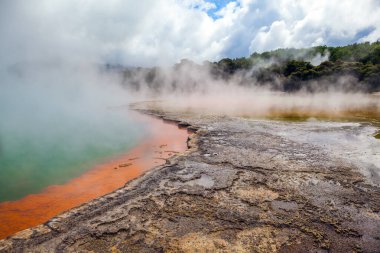  Yeni Zelanda. Rotorua 'nın eşsiz jeotermal bölgesi. Gazlı sıcak bir gölün turuncu kıyıları. Wai-O-Tapu. Termal Harikalar Diyarı Şampanyası. Egzotik, ekolojik ve fotoğraf turizmi kavramı