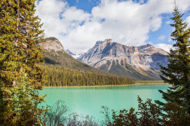 Muhteşem Zümrüt Göl. Sabah erkenden. Kanada Kayalıkları 'nda büyük bir göl. Kozalaklı orman ve dağ zirveleri gölü masmavi suyla çevreler..