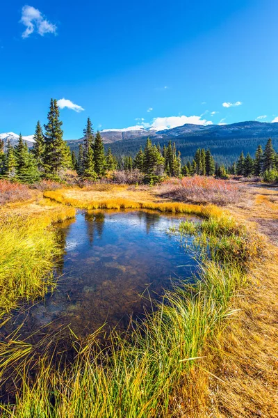 Ciel Bleu Reflète Dans Eau Des Flaques Pittoresques Autour Lac — Photo