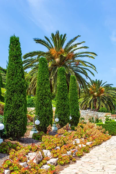 Вид Горы Кармель Хайфу Великолепные Красочные Сады Клумбы Кипарисы Зеленые — стоковое фото