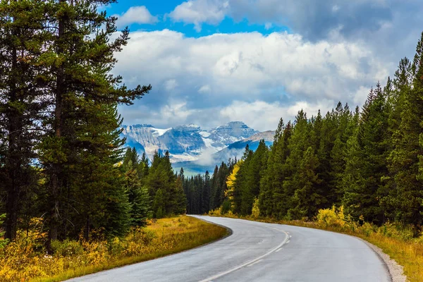 Kanada Kayalıkları. Yol her zaman yeşil olan kozalaklı bir ormandan geçiyor. Mavi gökyüzünde yemyeşil kümülüs bulutları birikiyor. Etkin, eko ve fotoğraf turizmi kavramı
