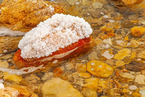 Praia Rasa Mar Morto Pedra Pitoresca Coberta Com Sal Evaporado — Fotografia de Stock