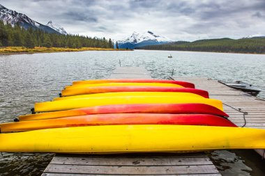 Göl kenarında kırmızı ve sarı kanolar kurur. Kanada Kayalıkları 'nda soğuk bulutlu bir sonbahar günü. Maligne Gölü 'nün karla kaplı dağları kozalaklı ve yeşil ormanlarla çevrilidir.. 
