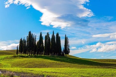 Günbatımında parlayan tuhaf kümülüs bulutları. İtalya. Toskana 'nın büyülü güzelliği. Muhteşem selvi sokağı. Kışın başlangıcında güneşli bir gün. 