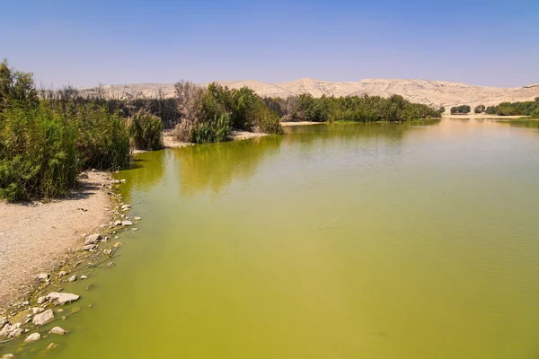 Город Пустыне Арава Ерухам Израиль Искусственное Озеро Городском Парке — стоковое фото
