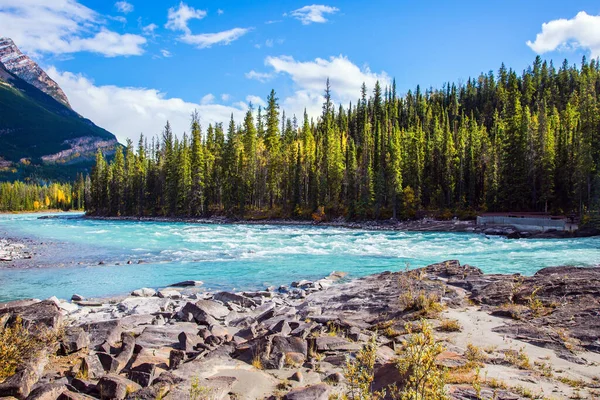 Barrskog Berg Och Flod Utgör Ett Magnifikt Landskap Kanada Athabasca — Stockfoto