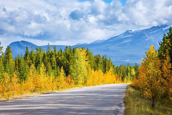 Mavi gökyüzünde yemyeşil kümülüs bulutları. Kanada 'nın Rocky Dağları. Yeşil kozalaklı ormanlar ve turuncu sonbahar asfaltları arasında asfalt yol. Dağ zirveleri karla kaplıdır.