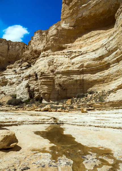以色列 宏伟的埃文达特峡谷是内盖夫沙漠中最美丽的峡谷 墙里有许多山洞和岩石 启动路线 摄影旅游的概念 — 图库照片