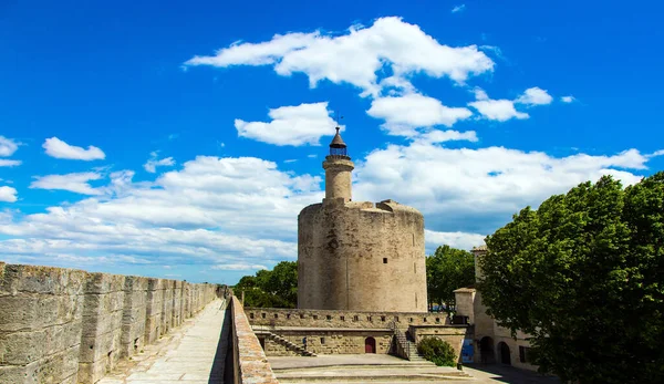 中世纪港口城市Aigues Mortes的古城墙 康斯坦斯的历史塔法国地中海沿岸 历史和摄影旅游的概念 — 图库照片
