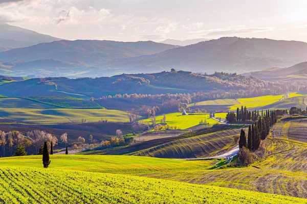 Magnífica Provincia Italiana Toscana Campos Colinas Cubiertos Niebla Viaja Una —  Fotos de Stock