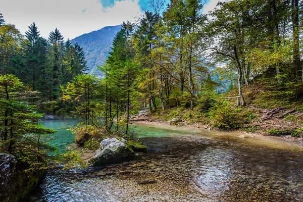 Julian Alps Slovenia Autumn Forest Mountain Valley Picturesque Shallow Lake — стоковое фото