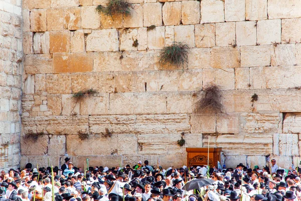 Grande Multidão Judeus Rezando Praça Frente Muro Ocidental Templo Férias — Fotografia de Stock
