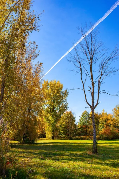 Canada Province Quebec Road Montreal Bromont Gorgeous Bright Autumn Landscape — Stock Photo, Image