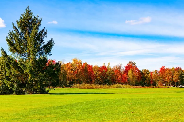 Magic Multicolored Autumn Quebec Canada Road Montreal Bromont Green Lawns — Stock Photo, Image