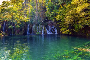 Hırvatistan 'daki Plitvice Lakes Parkı, Orta Avrupa. Şeffaf sığ göl ormanı yansıtır. Kil kayalıklar boyunca birçok resmedilmiş şelale akar.. 