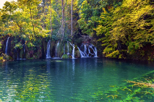 Plitvicei Tavak Park Horvátországban Közép Európában Átlátszó Sekély Tükrözi Erdőt — Stock Fotó