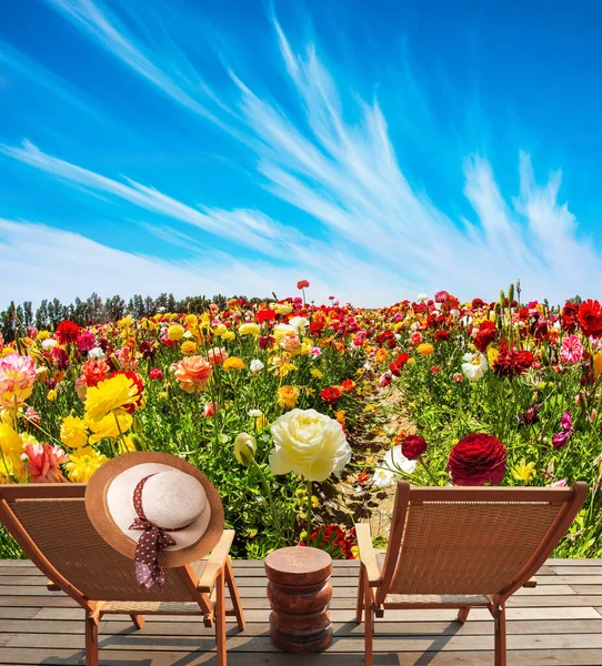 Two Sun Loungers Wooden Platform Bright Beautiful Multi Colored Garden — Stock Photo, Image