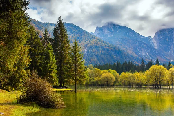 Los Árboles Amarillos Reflejan Agua Verde Suave Del Lago Lago —  Fotos de Stock