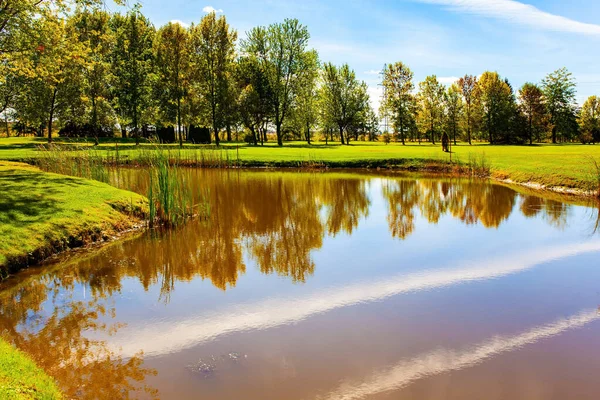 Resimli sığ göl. Kanada, Quebec vilayeti. Muhteşem, parlak sonbahar manzarası. Yeşil, sarı, turuncu ve sarı yapraklı ağaçlar. Sonbaharın parlak renkleri. 