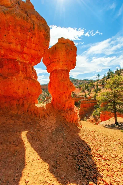 Zonnige Dag Verenigde Staten Populairste Routes Red Canyon Roodbruine Canyons — Stockfoto