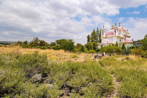 Snow White Walls Pink Domes Monastery Shores Sea Galilee Tropical — Stok fotoğraf
