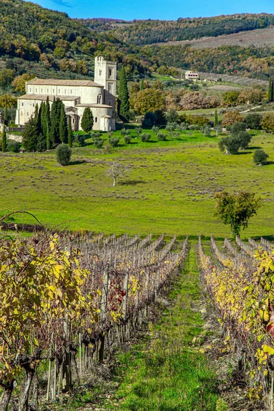 Charming Abbey Vineyards Fields Magical Beauty Province Tuscany Sunny Day — стокове фото