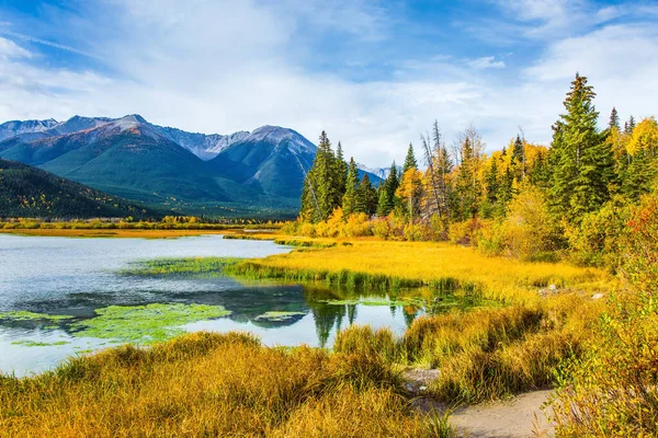 Lago Vermillon Entre Hierba Otoño Amarillo Follaje Abedules Viaje Otoño —  Fotos de Stock