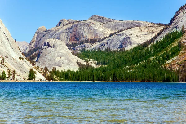 Yosemite Park Sun Glare Water Lake Tenaya Tioga Road Dense — Stockfoto