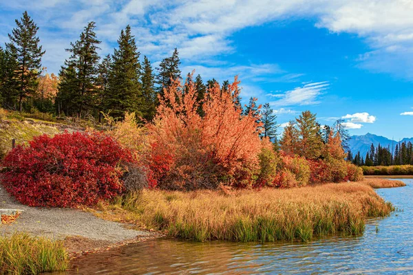 Indian Summer Rocky Mountains Canada Red Yellow Orange Foliage Autumn — Stockfoto