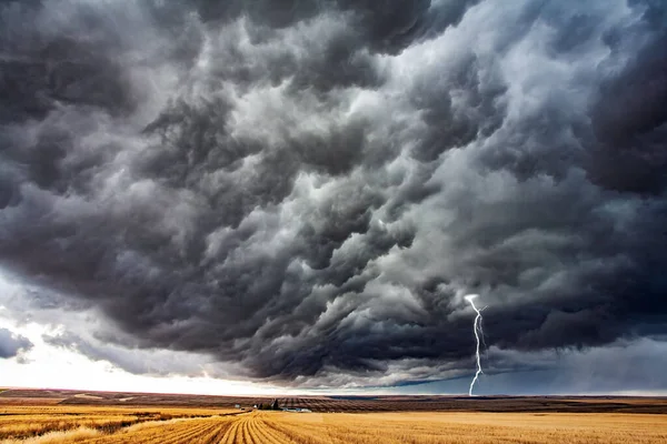 Storm Steppe Field Harvest Heavy Swirling Storm Clouds Huge Farm — 图库照片