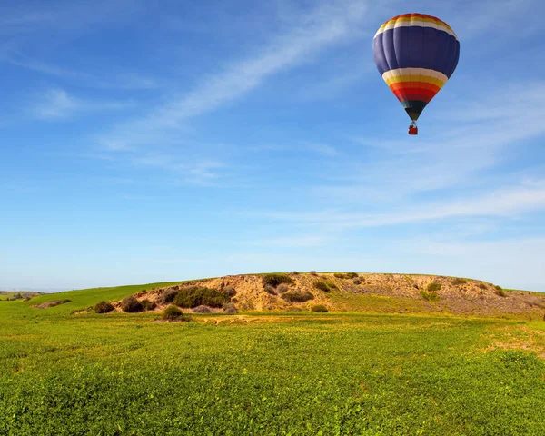 Bright Multicolor Hot Air Balloons Flies Field Beautiful Sunny Day — Stok fotoğraf