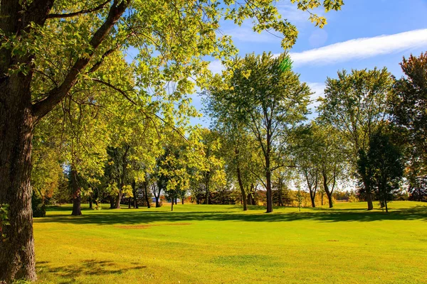 Green Groomed Lawns Trees Green Yellow Orange Yellow Foliage Canada — Stock Photo, Image