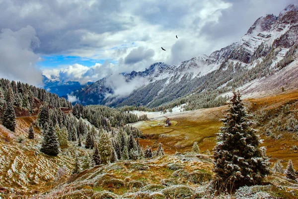 Magnificent Wide Valley Italian Alps Picturesque Pass Dolomites Passo Rolle — Foto de Stock