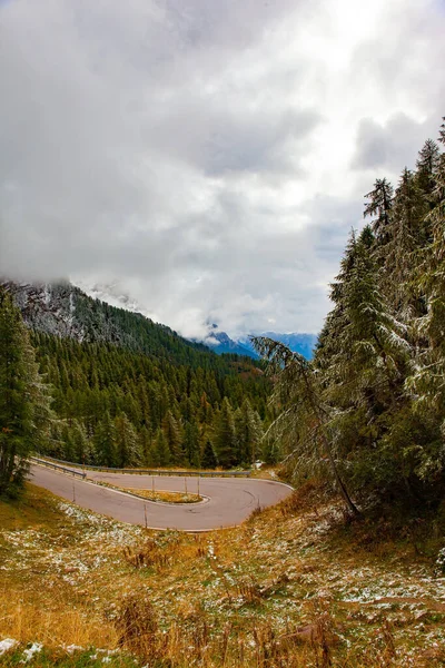 Road Evergreen Mountain Forests Famous Picturesque Pass Dolomites Passo Rolle — Fotografia de Stock