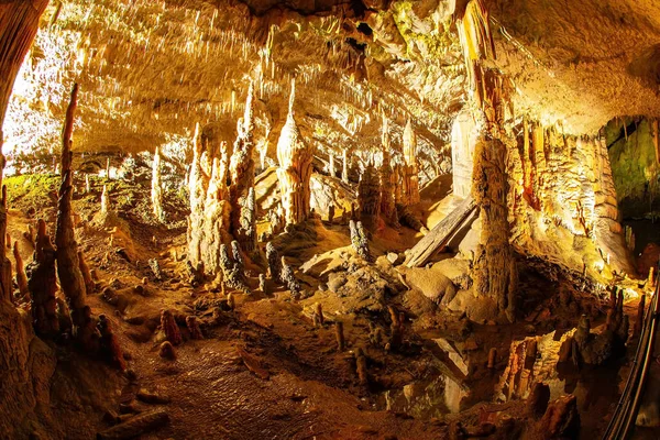 斯洛文尼亚的石灰石高原 Postojna洞穴 斯洛文尼亚巨大的地下洞穴系统 去东欧旅行 斯洛文尼亚的神奇地方 — 图库照片