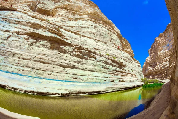 Desfiladeiro Ein Avdat Formado Pelo Rio Qing Israel Cachoeira Pitoresca — Fotografia de Stock