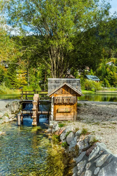 Stora Pysnitsa Stream Stränderna Vid Sjön Jasne Bergen Övervuxna Med — Stockfoto