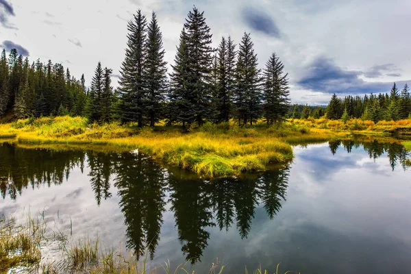 Yellow Dry Grass Shallow Lake Picturesque Canadian Rockies Cloudy Autumn — Stock Photo, Image