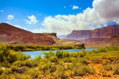 Geniş nehir ve yeşil çimenler. Kırmızı kumtaşının dik kıyıları. İnanılmaz vahşi yaşam. ABD. Lee 'nin Feribotu, Colorado Nehri' ni geçen tarihi bir feribot. Ekstrem ve fotoğraf turizmi kavramı