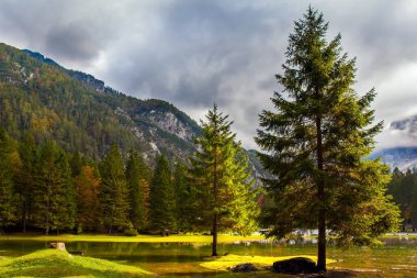  Alpler. Fuzine Gölü. Sarı ağaçlar gölün yeşil, pürüzsüz suyuna yansır. Kuzey İtalya ile Slovenya arasındaki sınır.