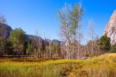 Yosemite Park, Sierra Nevada 'nın yamaçlarında yer almaktadır. Yosemite Vadisi. Vadinin çayırlarında sonbahar sararmış otlar. 
