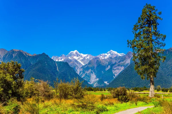 Dirt Road Lake Matheson Snow Capped Peaks Mount Cook Mount — Stock Photo, Image