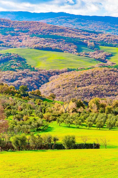 Beroemde Wijngaarden Van Toscane Hellingen Van Heuvels Pittoreske Groene Heuvels — Stockfoto