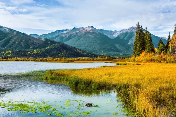 黄色の秋の草の中に朱色の湖 カナダのロッキー山脈の壮大な風景 — ストック写真